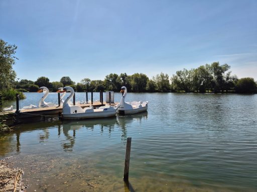 Pedalo Hire